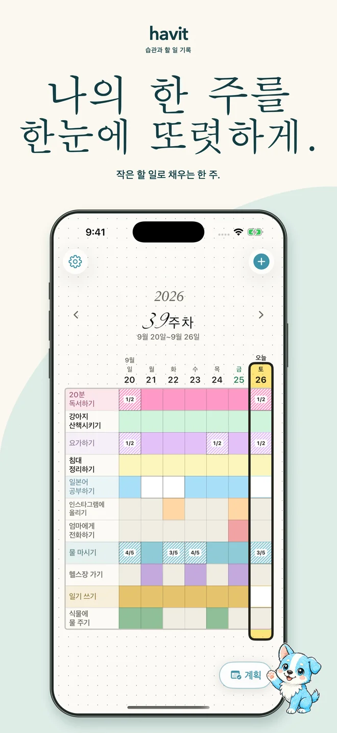 한 주를 한눈에